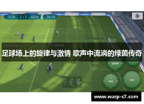 足球场上的旋律与激情 歌声中流淌的绿茵传奇