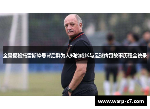 全景揭秘托雷斯绰号背后鲜为人知的成长与足球传奇故事历程全貌录