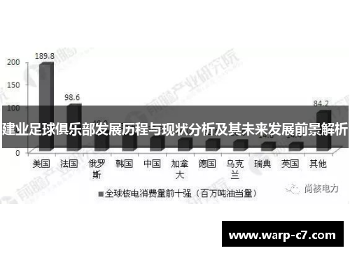 建业足球俱乐部发展历程与现状分析及其未来发展前景解析