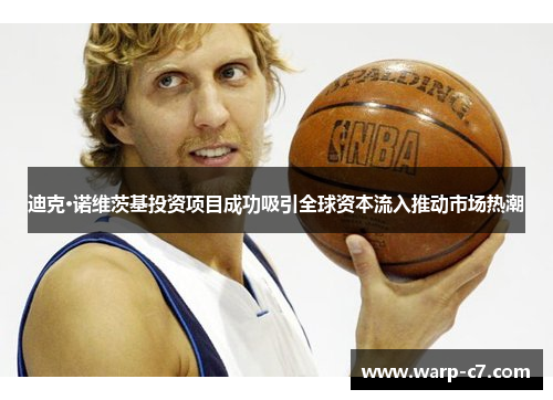 迪克·诺维茨基投资项目成功吸引全球资本流入推动市场热潮