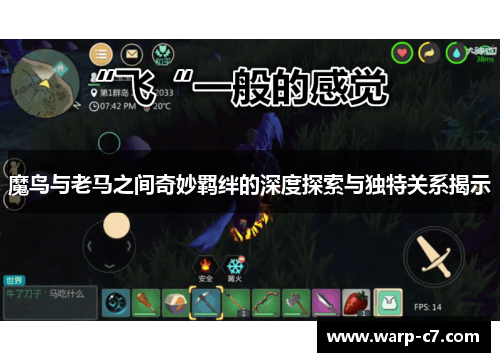 魔鸟与老马之间奇妙羁绊的深度探索与独特关系揭示 魔鸟与老马之间奇妙羁绊的深度探索与独特关系揭示