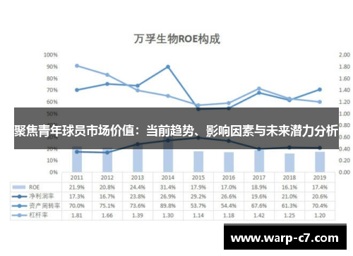 聚焦青年球员市场价值:当前趋势、影响因素与未来潜力分析 聚焦青年球员市场价值:当前趋势、影响因素与未来潜力分析