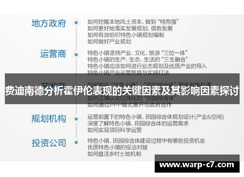 费迪南德分析霍伊伦表现的关键因素及其影响因素探讨