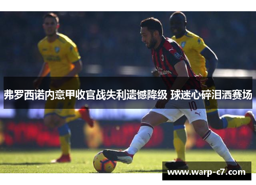 弗罗西诺内意甲收官战失利遗憾降级 球迷心碎泪洒赛场