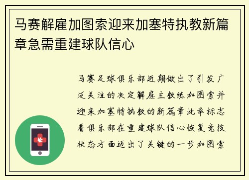 马赛解雇加图索迎来加塞特执教新篇章急需重建球队信心